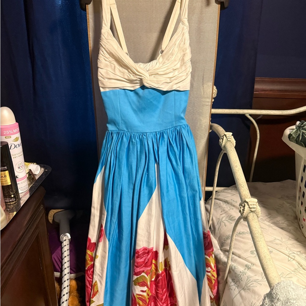 RARE Pinup Couture Lydia Dress with Rose Border